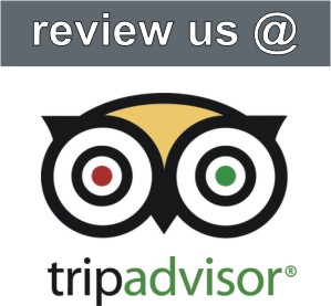 tripadvisor-review-logo